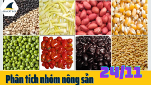 phan-tich-nhom-nong-san-24-11