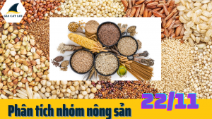 phan-tich-nhom-nong-san-22-11