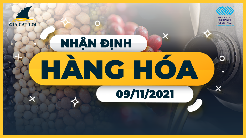 nhan-dinh-thi-truong-09/11
