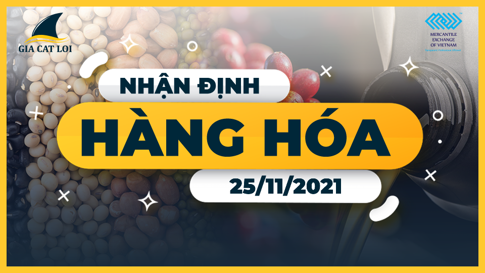 phan-tich-thi-truong-25-11