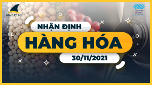 nhan-dinh-thi-truong-30-11
