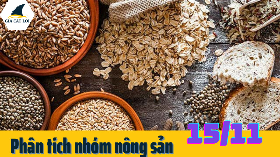 tin nong san 15/11