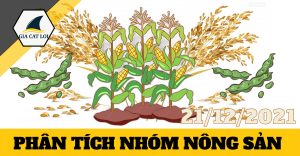 nhom-nong-san-21-12