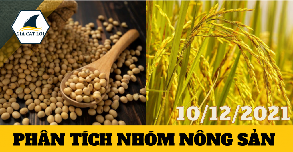 nhom-nong-san-10-12