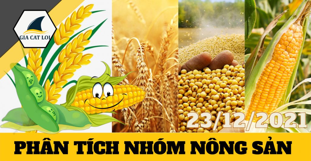 nhom-nong-san-23/12