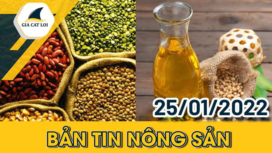 ban-tin-nong-san-25-01-2022