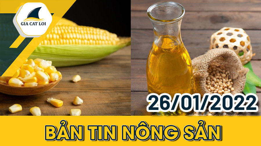 ban-tin-nong-san-26-01-2022