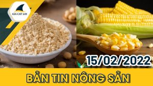 ban-tin-nong-san-15-02-2022