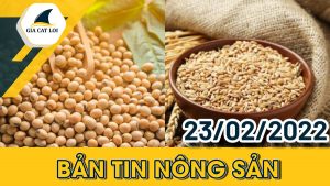 ban-tin-nong-san-23-02-2022
