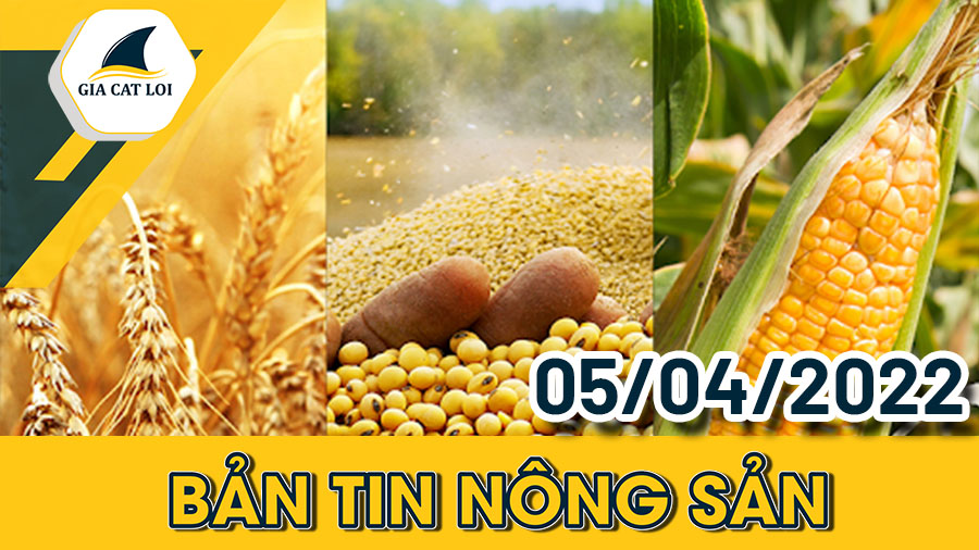 nhóm nông sản ngày 05/04/2022