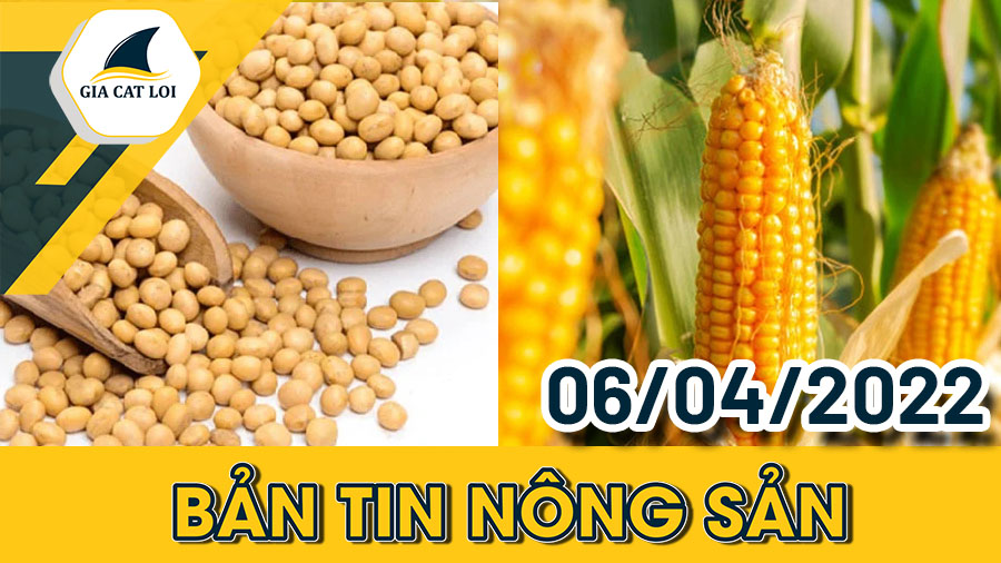 Nhóm nông sản ngày 06/04/2022