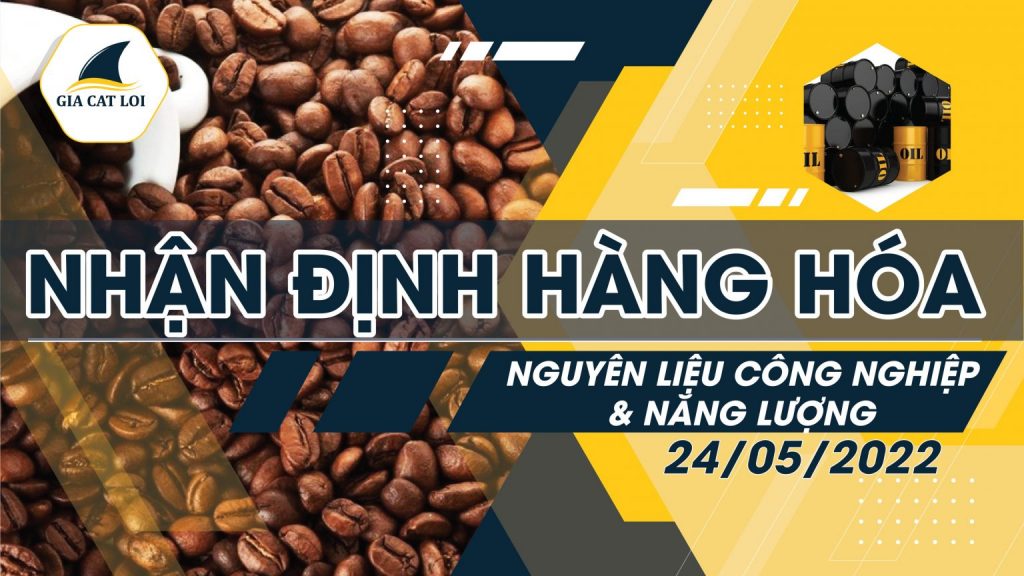 Năng Lượng & Nguyên Liệu Công Nghiệp Ngày 24/05/2022