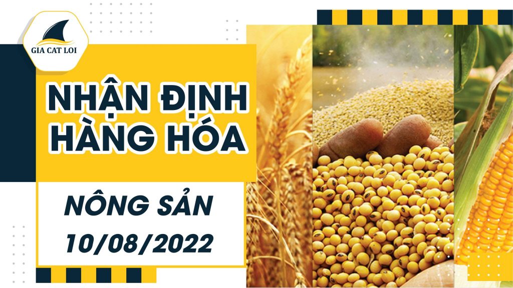 Nhận Định Nhóm Nông Sản Ngày 10/08/2022